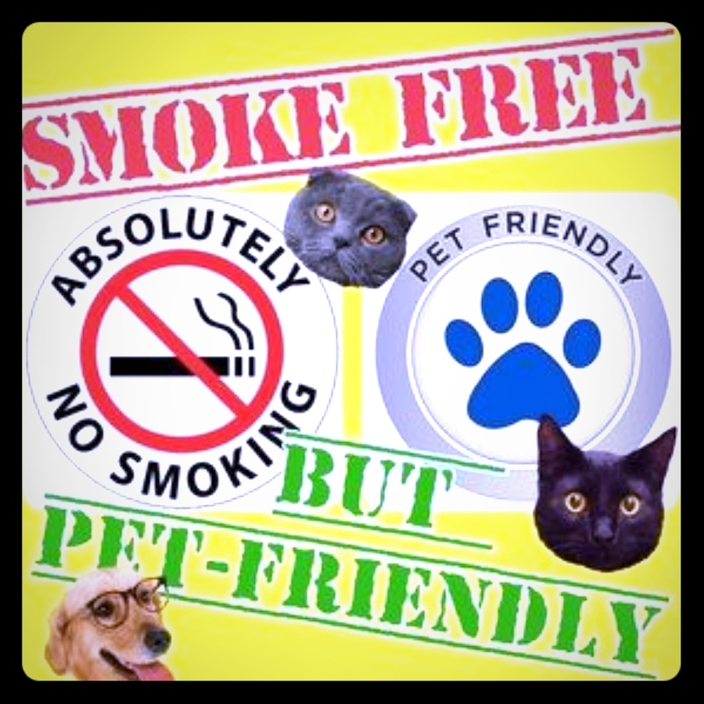 🐾🐕FYI for Buyers 😺🐾
